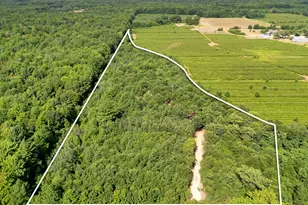 Johnson Rd, Fruitport, MI 49415 - Photo 1