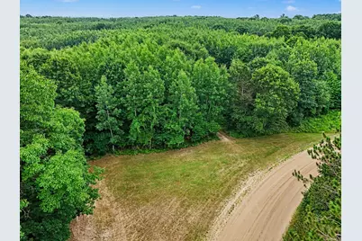 V/L N Larson Road, Fountain, MI 49410 - Photo 3