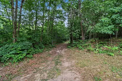 V/L N Larson Road, Fountain, MI 49410 - Photo 7