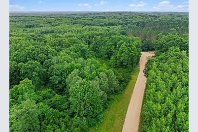 V/L N Larson Road, Fountain, MI 49410 - Photo 15