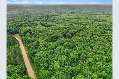 V/L N Larson Road, Fountain, MI 49410 - Photo 11