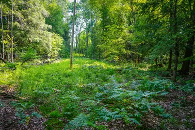 N Apple Drive #Lot 37/3.26 A m/l, White Cloud, MI 49349 - Photo 7