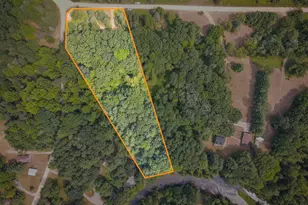N Apple Dr, White Cloud, MI 49349 - Photo 1