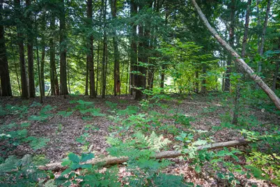 N Apple Drive #Lot 38/2.36 A m/l, White Cloud, MI 49349 - Photo 17