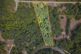 N Apple Dr, White Cloud, MI 49349 - Photo 1