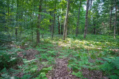 N Apple Drive #Lot 38/2.36 A m/l, White Cloud, MI 49349 - Photo 11