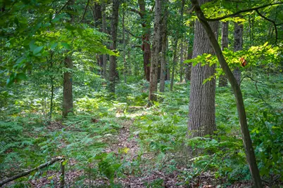 N Apple Drive #Lot 38/2.36 A m/l, White Cloud, MI 49349 - Photo 5