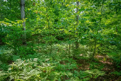 N Apple Drive #Lot 62/1.88 A m/l, White Cloud, MI 49349 - Photo 7