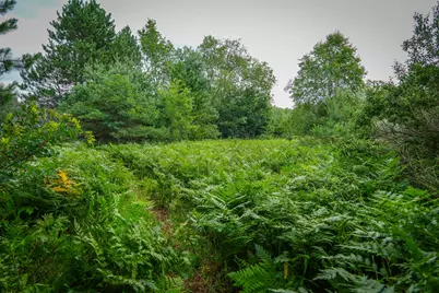 N Apple Drive #Lot 62/1.88 A m/l, White Cloud, MI 49349 - Photo 5