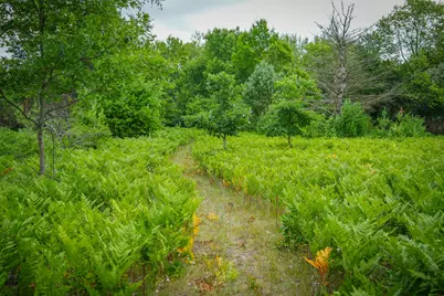 N Apple Drive #Lot 62/1.88 A m/l, White Cloud, MI 49349 - Photo 9