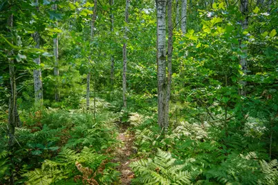 N Apple Drive #Lot 62/1.88 A m/l, White Cloud, MI 49349 - Photo 3
