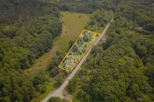 N Apple Dr, White Cloud, MI 49349 - Photo 1