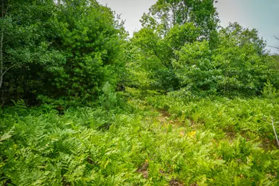 N Apple Drive #Lot 63/0.95 A m/l, White Cloud, MI 49349 - Photo 9
