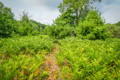 N Apple Drive #Lot 63/0.95 A m/l, White Cloud, MI 49349 - Photo 3