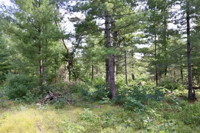 06 Down To Earth Way, Prescott, MI 48756 - Photo 7
