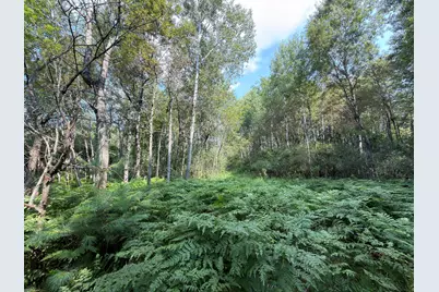 25A Nyrkkanen Road, Kaleva, MI 49645 - Photo 17