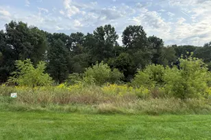 Campbell Lake Dr, Parma, MI 49269 - Photo 1