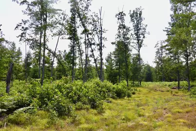 07 Down To Earth Way, Prescott, MI 48756 - Photo 11