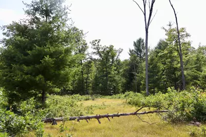 07 Down To Earth Way, Prescott, MI 48756 - Photo 9