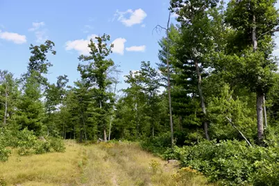 07 Down To Earth Way, Prescott, MI 48756 - Photo 17