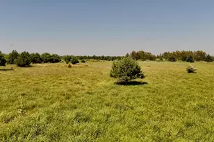 1824 W Bessinger Rd, Turner, MI 48765 - Photo 37