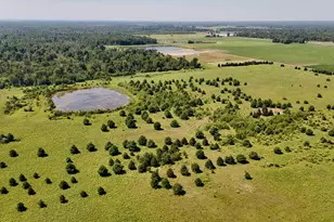 1824 W Bessinger Rd, Turner, MI 48765 - Photo 5
