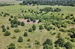 1824 W Bessinger Rd, Turner, MI 48765 - Photo 7
