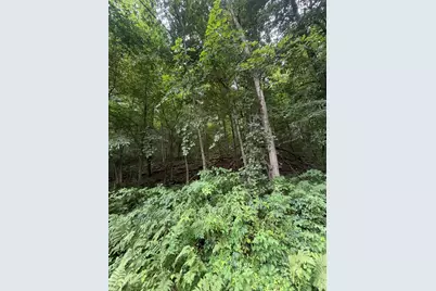 Lot B E Riverside Drive, Lowell, MI 49331 - Photo 5