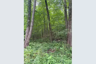 Lot B E Riverside Drive, Lowell, MI 49331 - Photo 3