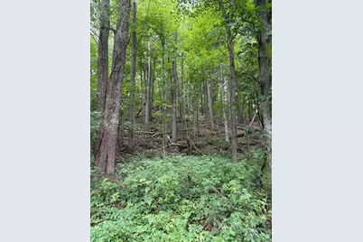 Lot B E Riverside Drive, Lowell, MI 49331 - Photo 1