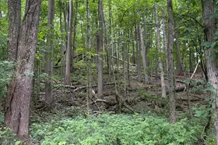 Lot B E Riverside Dr, Lowell, MI 49331 - Photo 1