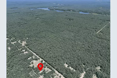 694 S Tippy Dam Road, Wellston, MI 49689 - Photo 43