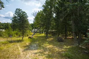 10130 N Brooks Rd, Irons, MI 49644 - Photo 9