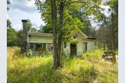 10130 N Brooks Road, Irons, MI 49644 - Photo 3