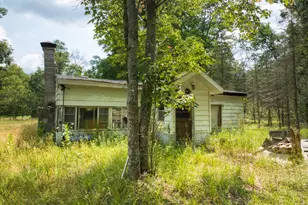 10130 N Brooks Rd, Irons, MI 49644 - Photo 3