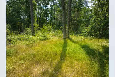 10130 N Brooks Road, Irons, MI 49644 - Photo 11