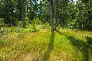 10130 N Brooks Rd, Irons, MI 49644 - Photo 11