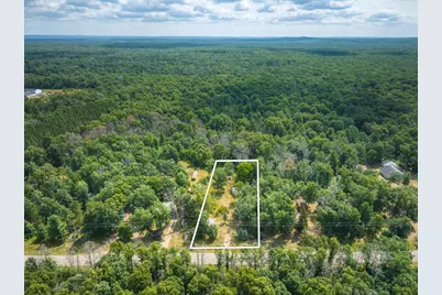 10130 N Brooks Road, Irons, MI 49644 - Photo 19