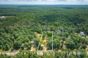 10130 N Brooks Rd, Irons, MI 49644 - Photo 19