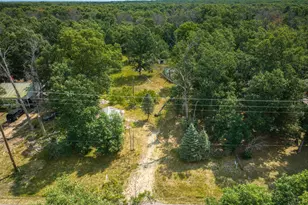 10130 N Brooks Rd, Irons, MI 49644 - Photo 13