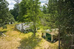 10130 N Brooks Rd, Irons, MI 49644 - Photo 1