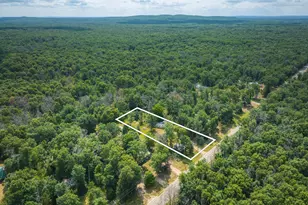 10130 N Brooks Rd, Irons, MI 49644 - Photo 17