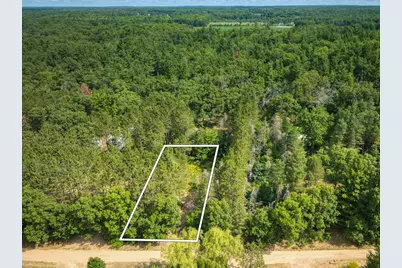 0 E 29th Street, White Cloud, MI 49349 - Photo 3