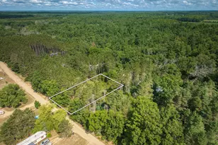 0 E 29th St, White Cloud, MI 49349 - Photo 1