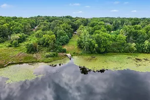 12884 Sharon Hollow Rd, Manchester, MI 48158 - Photo 35