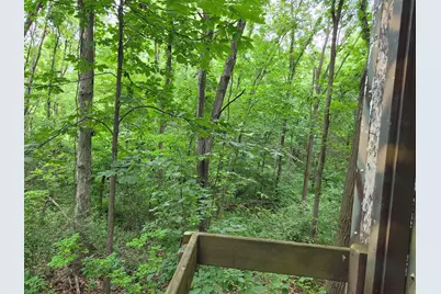 12884 Sharon Hollow Road, Manchester, MI 48158 - Photo 51