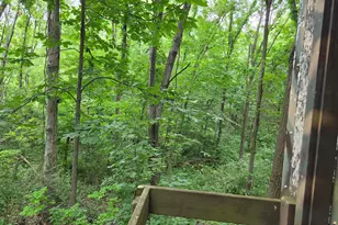 12884 Sharon Hollow Rd, Manchester, MI 48158 - Photo 51