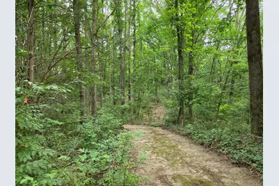 12884 Sharon Hollow Road, Manchester, MI 48158 - Photo 49