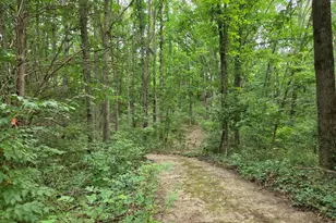 12884 Sharon Hollow Rd, Manchester, MI 48158 - Photo 49