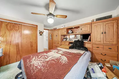 417 S Cass Street, Berrien Springs, MI 49103 - Photo 11